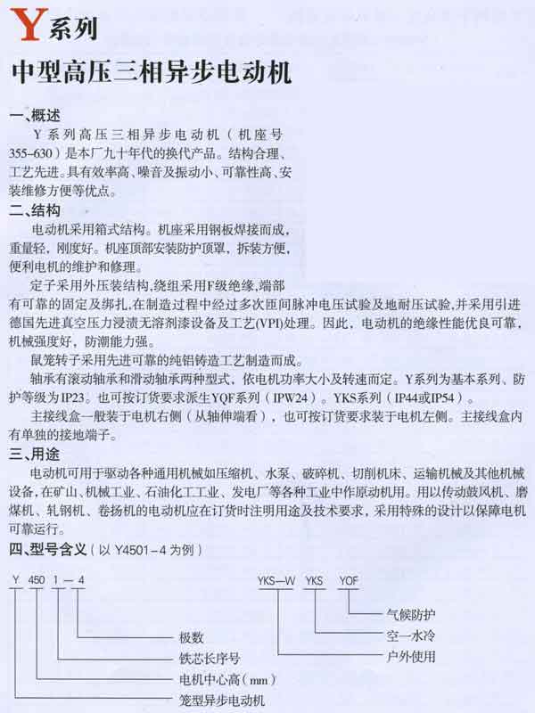 Y系列中型高壓三相異步電動機